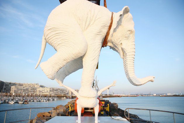 Le-Havre. Le Havre : la sculpture de l'éléphant a (enfin) trouvé sa place
