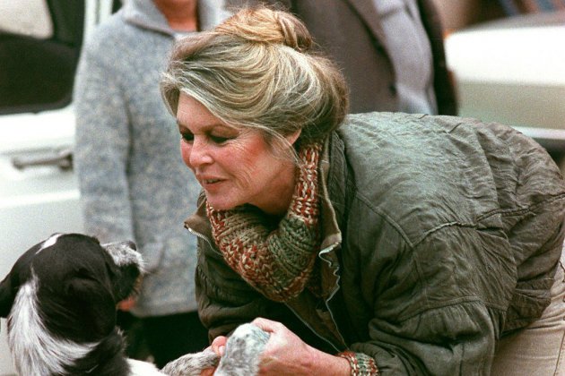 Brigitte Bardot plaide la cause des animaux auprès d'Emmanuel Macron
