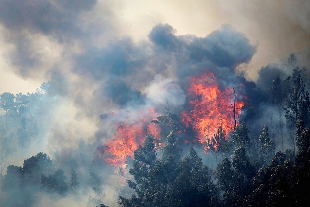 Le réchauffement climatique, catalyseur des feux de forêt