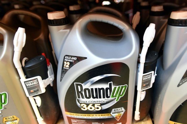 Monsanto reconnu coupable dans le procès Roundup (jury)