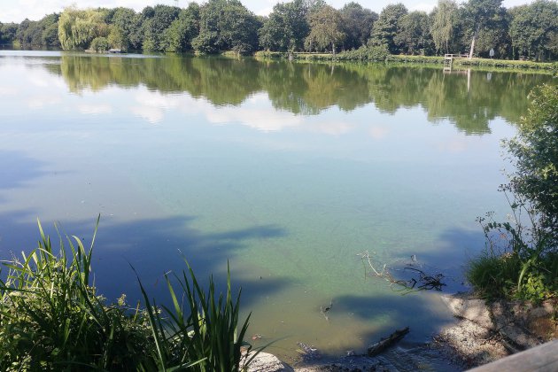 La Bonneville-sur-Iton. Eure : baignade interdite dans deux plans d'eau en raison de cyanobactéries