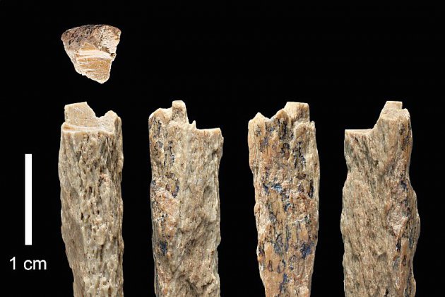 Hors Normandie. Un reste fossilisé d'enfant prouve l'accouplement entre deux espèces humaines