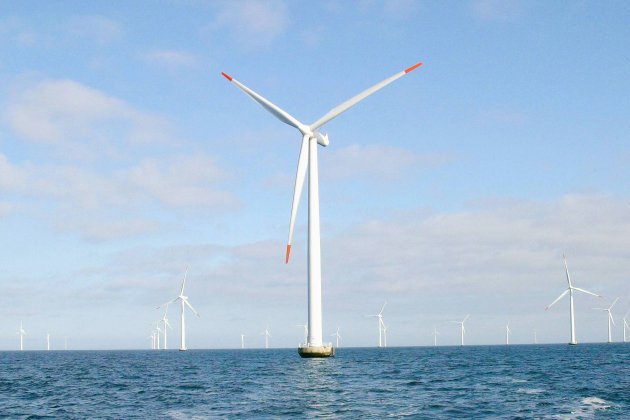 Dieppe. Dieppe : l'autorité environnementale sceptique sur les éoliennes en mer