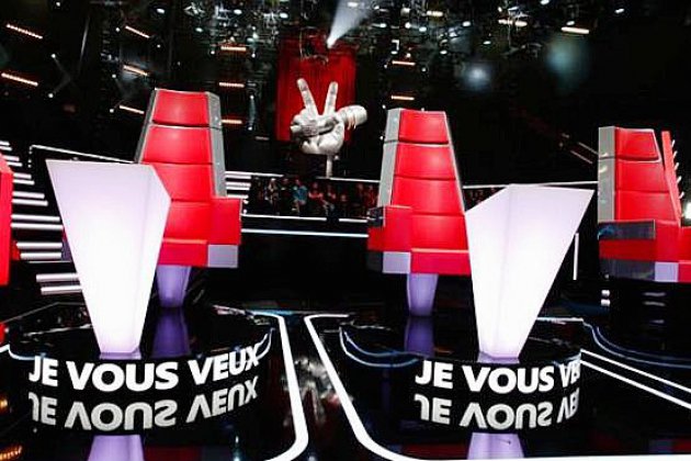 Hors Normandie. Un nouveau jury pour la prochaine saison de The Voice sur TF1