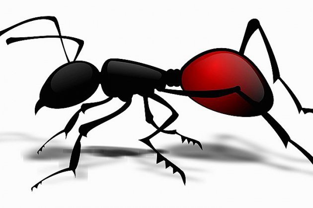 Hors Normandie. Ant-Man existe dans la vraie vie, en Inde!