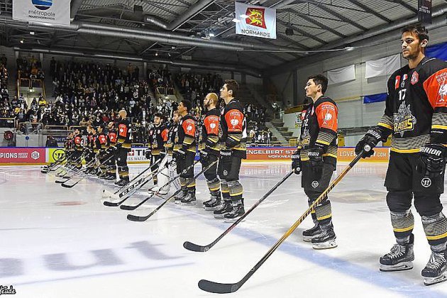Rouen. Hockey sur glace : les Dragons de Rouen rencontreront Salzbourg en Champions hockey league