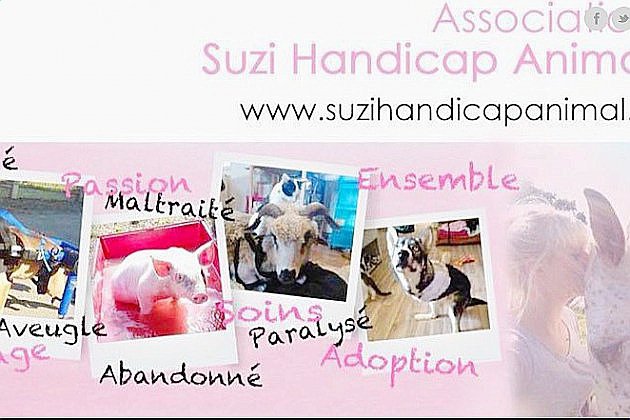 Montreuil-au-Houlme. Suzi Handicap Animal lance un nouvel appel à l'aide