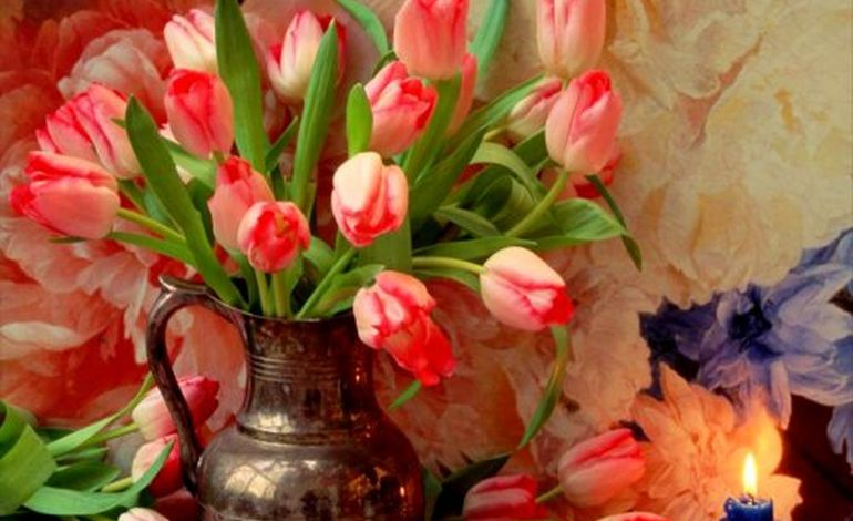 Opération Tulipes contre le cancer à Tinchebray et Condé-sur-Noireau