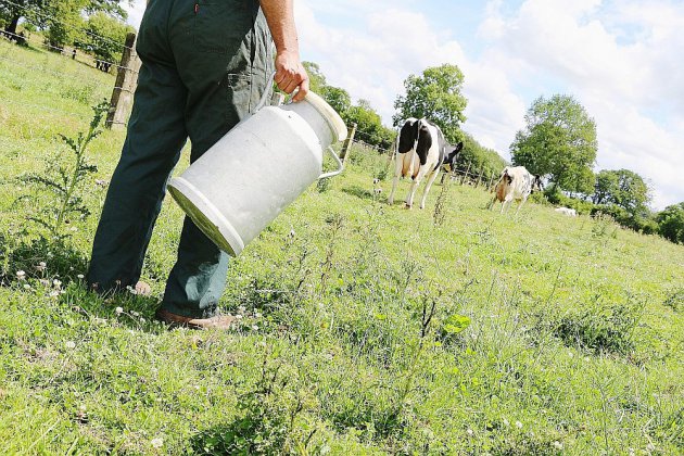 Saint-Lô. Manche : une nouvelle formation pour l'élevage laitier en manque de bras