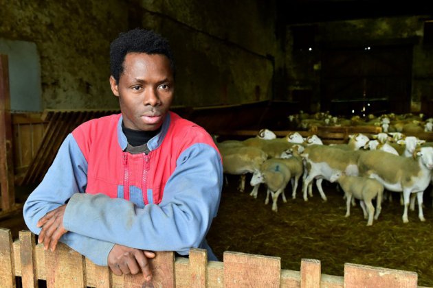 Kekouta, du Mali à la Gironde, participe à un concours de berger
