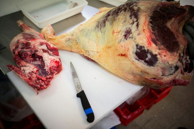 Plusieurs pays européens saisissent la viande provenant d'un abattage illégal en Pologne