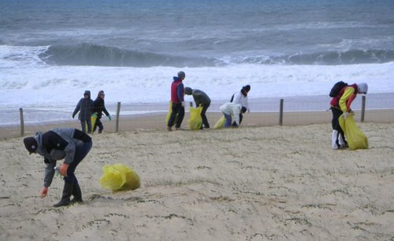 Nettoyage de plage jeudi à Colleville