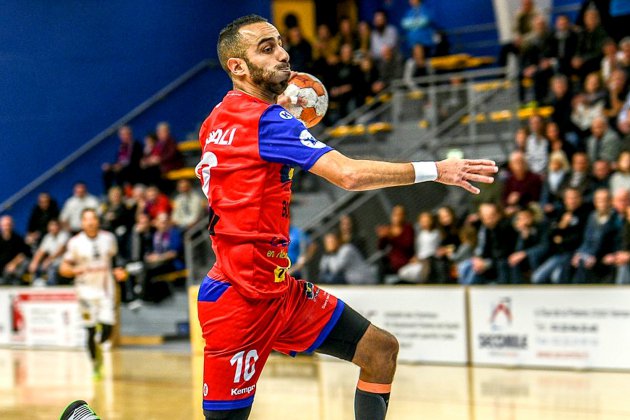 Vernon. Handball (Proligue) : Vernon s'incline contre Limoges