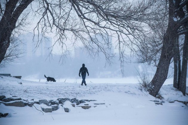 Un habitant d'Ottawa bloqué des semaines chez lui par la neige