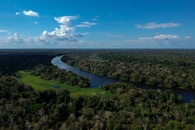 Pérou: atterrissage réussi d'un petit avion sur la canopée amazonienne
