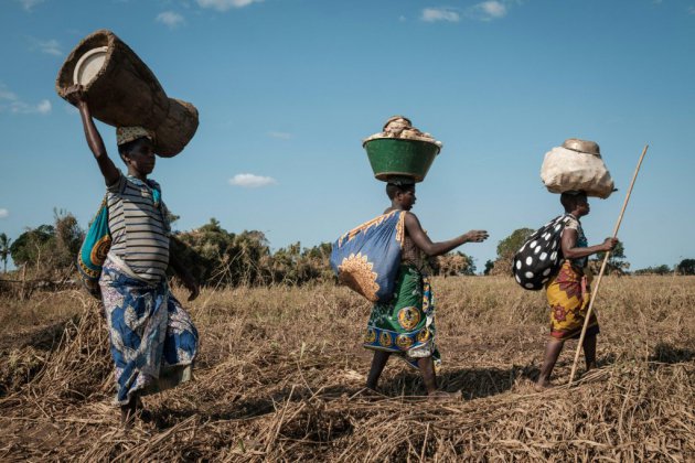 Au Mozambique, quand la branche du manguier a cédé et la vie d'Isabel basculé