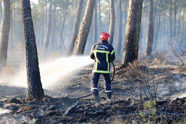 Pirou. [photos] Incendie dans la Manche : 40 hectares de pinède ont brûlé 