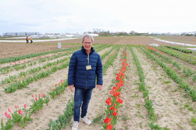 Le-Havre. Opération Tulipes contre le cancer près du Havre