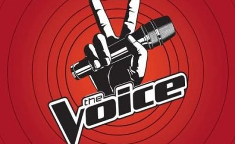 Casting The Voice, saison 2