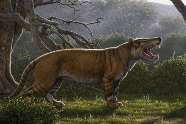 L'un des plus grands mammifères terrestres découvert au Kenya