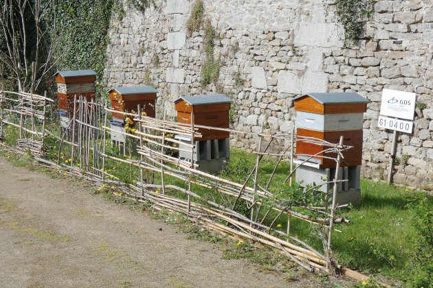 Alençon. Des ruches au Conseil départemental de l'Orne