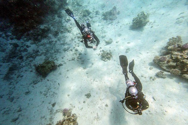 Dans les eaux bleues de la mer Rouge, le regain du tourisme menace les coraux