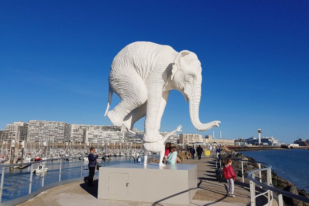 Le-Havre. L'éléphant de Mérelle ne reviendra pas au Havre