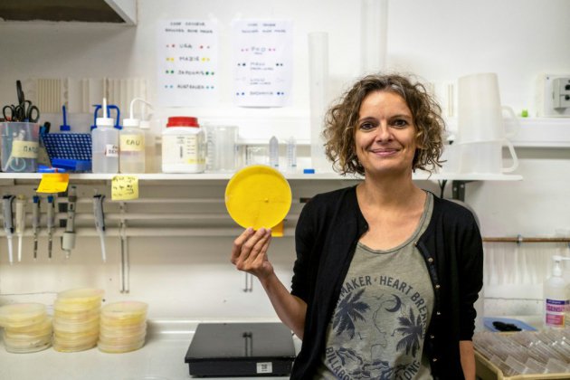 Audrey Dussutour, chercheuse-vedette sur le "blob", au service de la science fondamentale