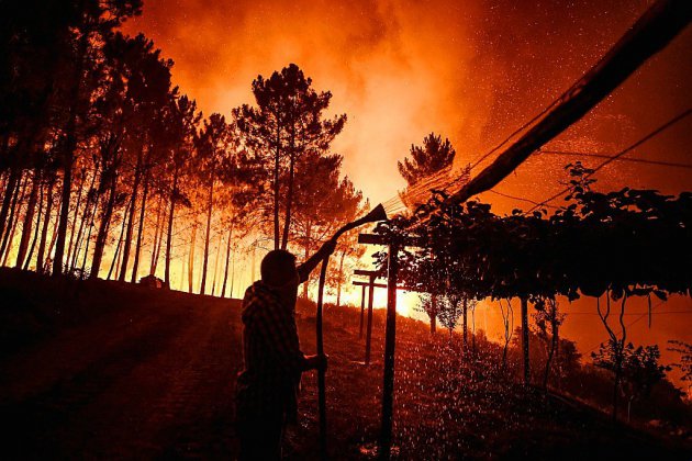 Portugal: mobilisation exceptionnelle pour lutter contre un vaste incendie