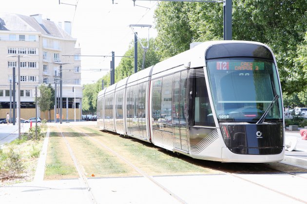 Caen. Les 10 histoires insolites sur le tramway de Caen