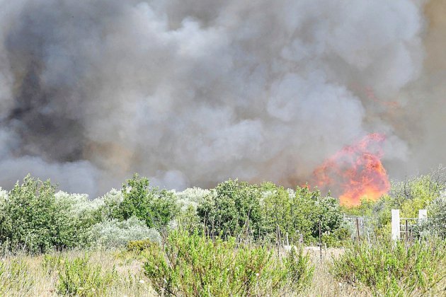 Incendies dans le Gard: le pilote d'un bombardier d'eau se tue dans le crash de son appareil