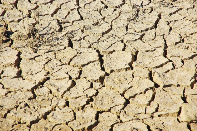 Lisieux. Alerte sécheresse : restrictions d'eau dans l'est du Calvados