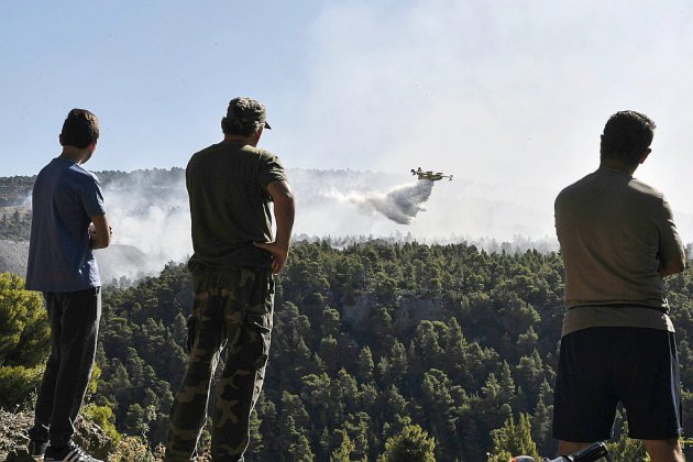 Grèce: les pompiers tentent de venir à bout de l'incendie sur l'île d'Eubée