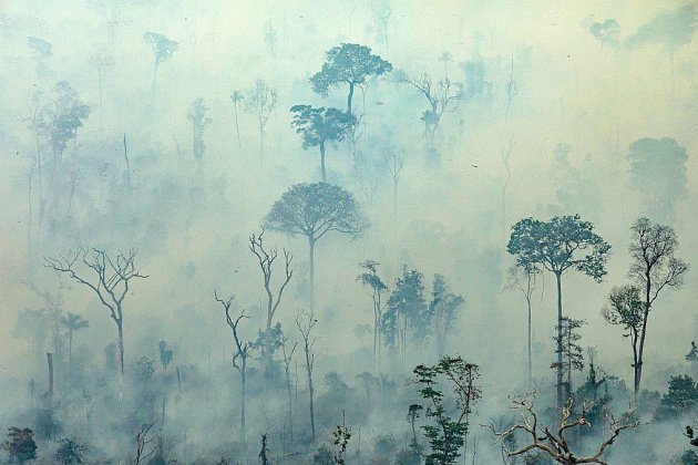 Incendies en Amazonie: des centaines de nouveaux feux, l'émotion grandit