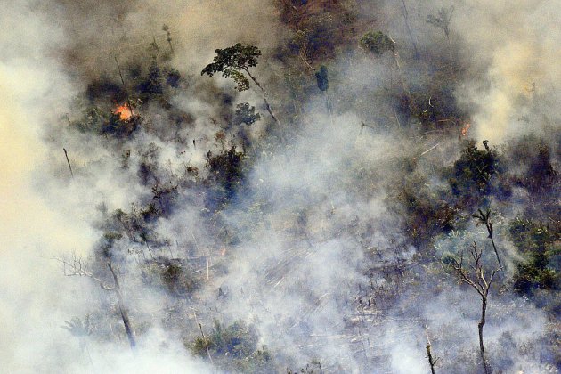 Les incendies en Amazonie progressent, aide d'urgence du G7