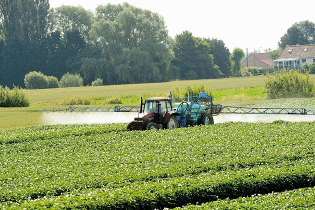 Pesticides: le gouvernement ouvre une consultation publique, sur le modèle du "grand débat"