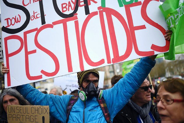 Cinq grandes villes dont Paris interdisent les pesticides sur leur territoire