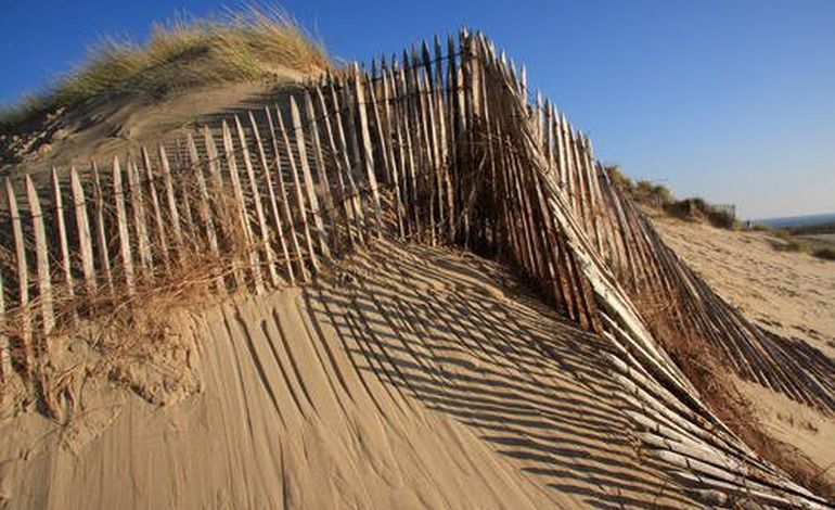 Des contrôles pour protéger les dunes de la Presqu'île