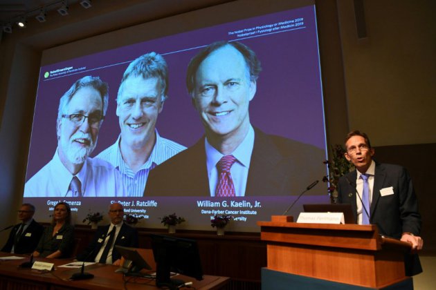 Le Nobel de médecine aux Américains William Kaelin et Gregg Semenza et au Britannique Peter Ratcliffe