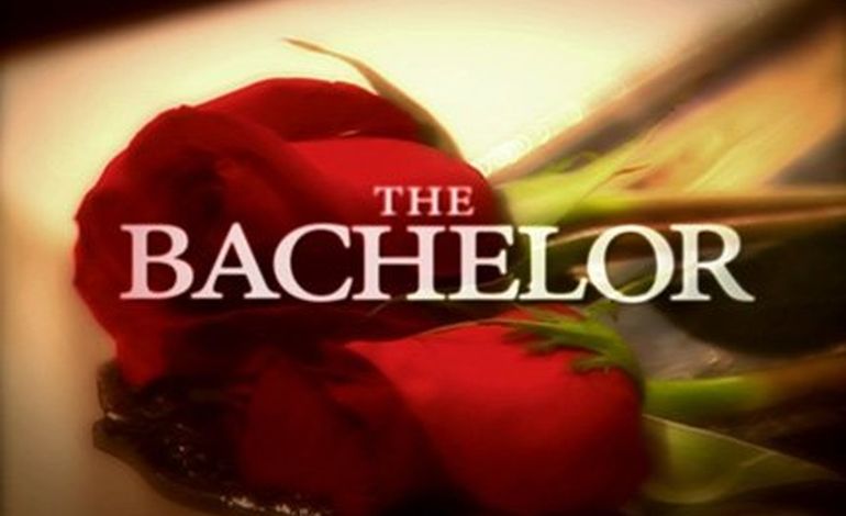 L'émission "Le Bachelor" de retour à la rentrée ? 