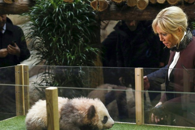 Les pandas de Beauval, un des enjeux de la visite de Macron en Chine