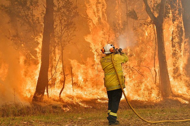 Canicule et incendies en Australie: l'état d'urgence décrété dans le sud-est du pays
