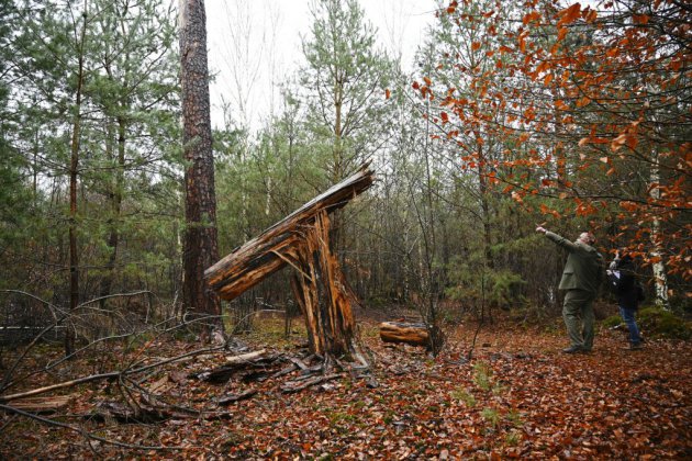 Vingt ans après la tempête de 1999, la forêt face à une nouvelle catastrophe