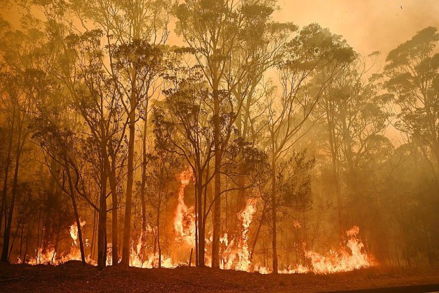 Incendies en Australie: 24 morts, des dégâts très importants