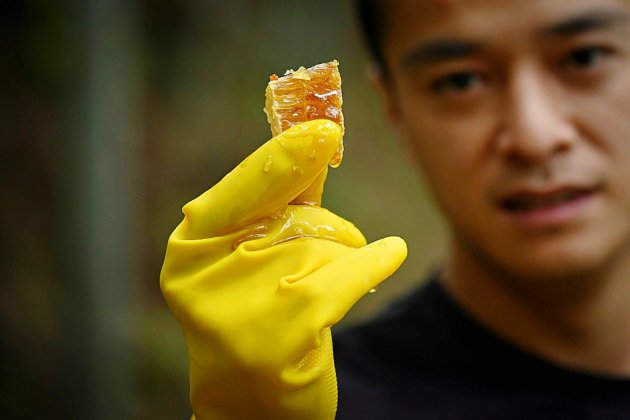 Avec la vidéo en ligne, des paysans chinois font leur miel
