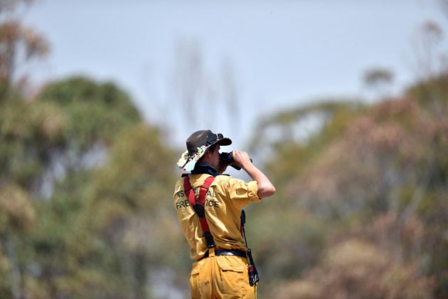 Incendies en Australie: une nouvelle vague de chaleur redoutée
