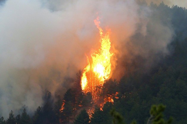 Incendie en Corse: des renforts attendus du continent