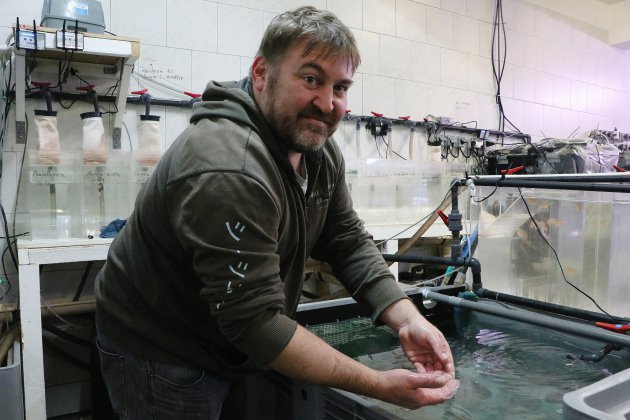 Cherbourg-en-Cotentin. Jellyfish s'apprête à élever 2 000 méduses pour un aquarium géant dans un hôtel à Dubaï