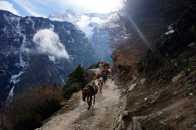 Au pied de l'Everest, le coronavirus met les sherpas au chômage