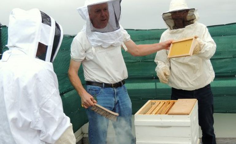 A Venoix, trois ruches sont sur le toit